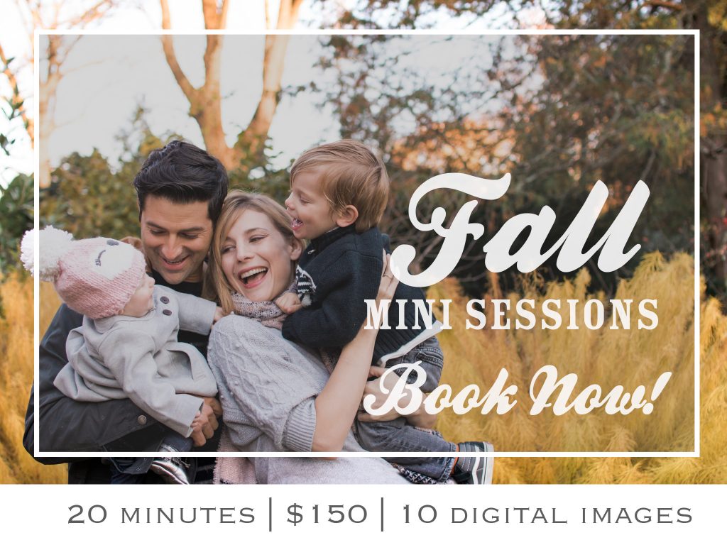 Fall Mini Sessions Are Here! | Main Line Family Photographer - Erin ...