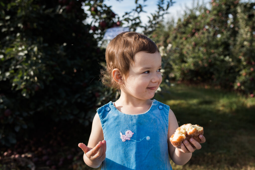 Apple cider donut - Apple picking